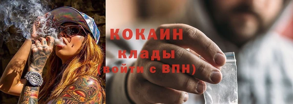 мдпв Тихвин