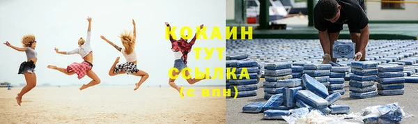 сатива Богородск