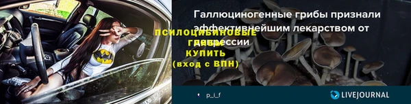 сатива Богородск