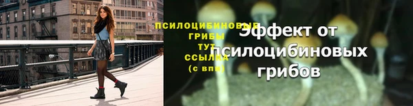 таблы Богородицк