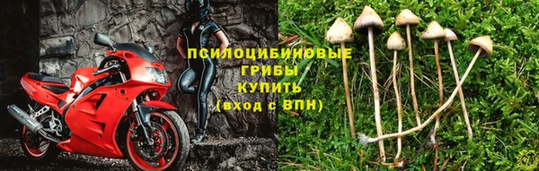 таблы Богородицк