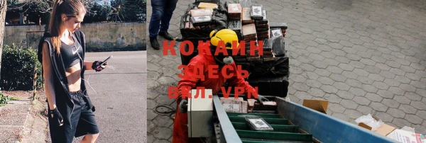 таблы Богородицк
