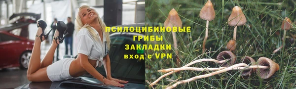сатива Богородск