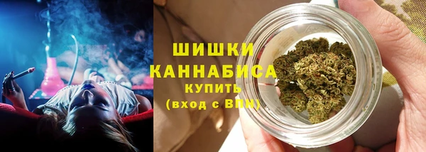 сатива Богородск